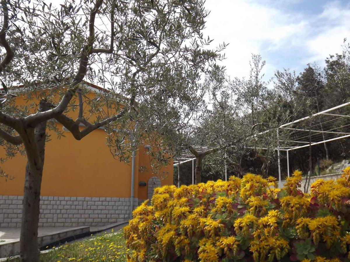 Apartments In Ravni/Istrien 30383 Exterior photo